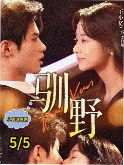 欧美剧情剧免费观看-边境线第四季海报